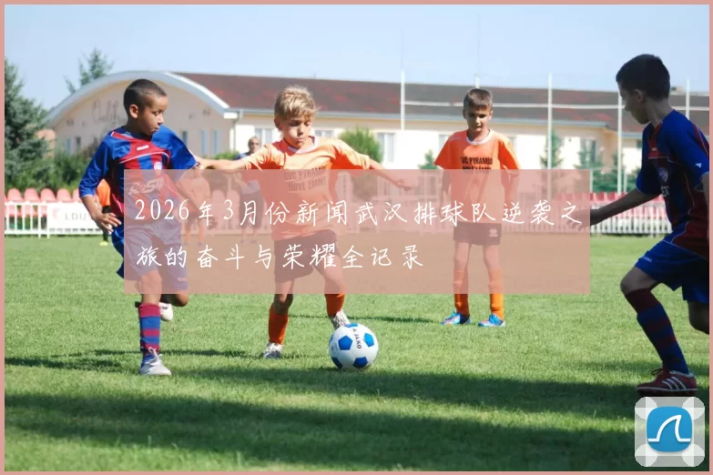 2026年3月份新闻武汉排球队逆袭之旅的奋斗与荣耀全记录